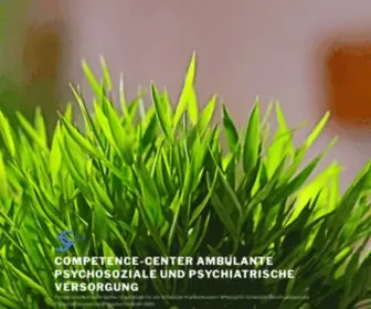 CCapp.ch(Competence-Center ambulante psychosoziale und psychiatrische Versorgung) Screenshot