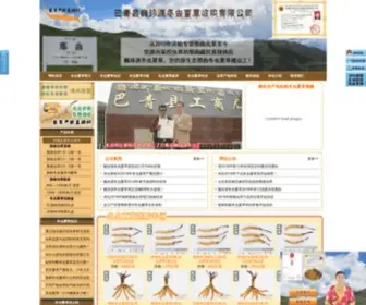 CCCDZXW.com(虫草产地直销网) Screenshot