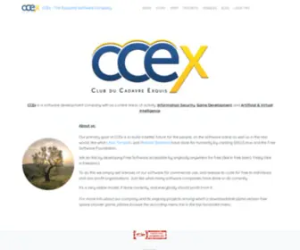 CCexcompany.org(The Exquisite Software Company) Screenshot