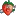 CCFF.com Favicon
