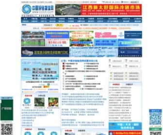 CCLCN.com(中国冷链物流网) Screenshot