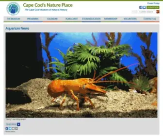 CCMNH.org(Cape Cod Museum of Natural History) Screenshot