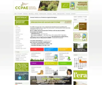 CCpae.org(CCpae) Screenshot