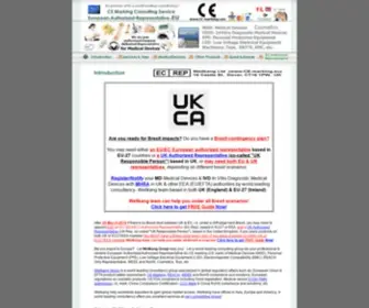 CE-Marking.com(UK & EEA (EU/EC) European Authorised Representative/Authorized Representative (UK Responsible Person) & CE Mark (CE Marking) consulting services) Screenshot