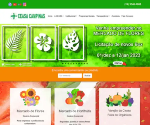 Ceasacampinas.com.br(Ceasacampinas) Screenshot