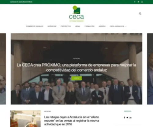 Cecacomercio.org(Proyectos CECA) Screenshot