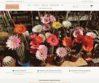 Cecicactus.com.ar(Cactus y suculentas de colección) Screenshot