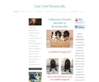 Cedarcreekpuppies.com(Cedar Creek Bernedoodles) Screenshot