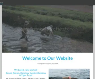 Cedarspringstrouthatchery.com(Cedar Springs Trout Hatchery) Screenshot