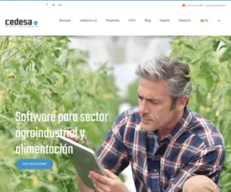 Cedesa.es(Soluciones de Desarrollo de Software a medida) Screenshot