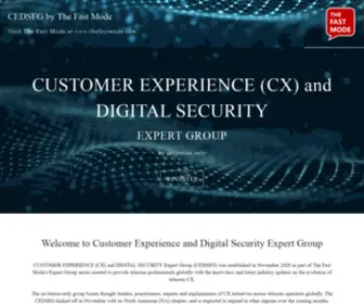 Cedseg.com(Customer Experience and Digital Security Expert Group) Screenshot