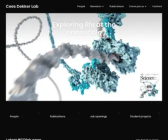 Ceesdekkerlab.nl(Cees Dekker Lab) Screenshot