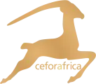 Ceforafrica.de Favicon