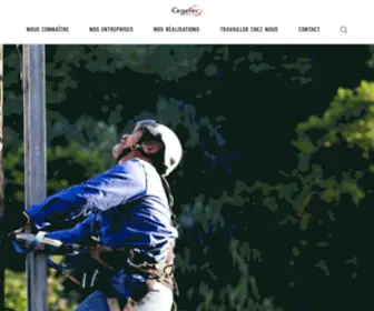 Cegelec-Polynesie.com(Polynésie) Screenshot