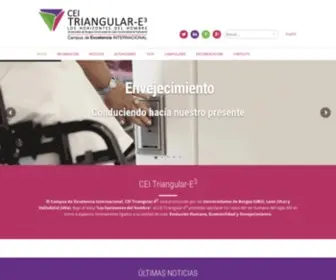 Ceitriangular.org(CEI Triangular) Screenshot