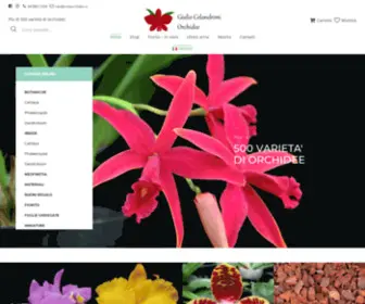 Celaorchidee.it(Giulio Celandroni Orchidee) Screenshot