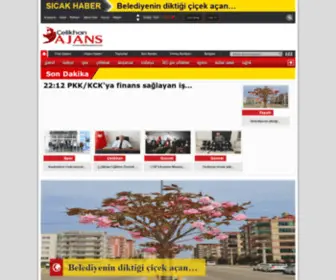 Celikhanajans.com(Çelikhan) Screenshot