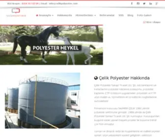 Celikpolyester.com(Çelik Polyester) Screenshot