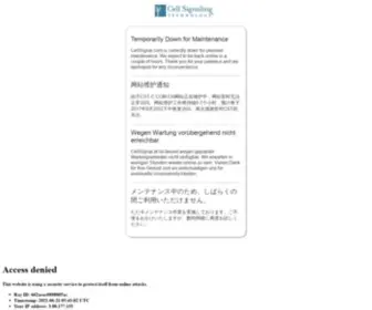Cellsignal.cn(抗体不应成) Screenshot