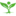 CengizFidancilik.com Favicon
