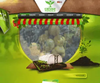 CengizFidancilik.com(Mersin fidancı) Screenshot