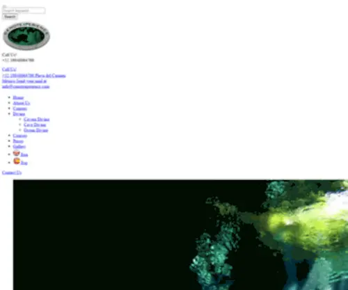 Cenotexperience.com(Cavern, Cave and Ocean Diving in Playa del Carmen Yucatan Mexico) Screenshot