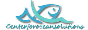 Centerforoceansolutions.org Favicon