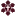 Centralnazarene.com Favicon