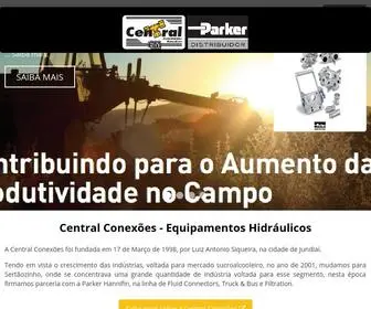 Centralparkergm.com.br(Central Conexões) Screenshot