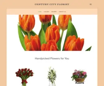 Centurycityflorist.com(Centurycityflorist) Screenshot