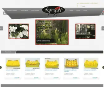 Ceramicstudio.com.pl(Artykuły ceramiczne) Screenshot