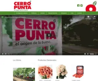 Cerropunta.net(Cerro Punta S.A) Screenshot