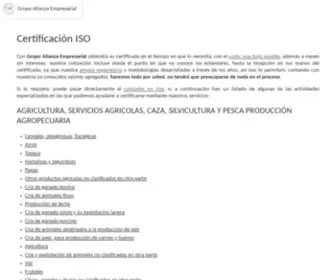 Certificacion-Iso.com(Certificación) Screenshot