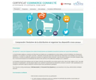 Certificat-Ecommerce.fr(CCM Institut) Screenshot