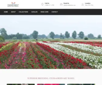 Certifiedrose.com(Certified Roses) Screenshot