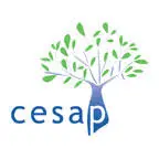 Cesap.asso.fr Favicon