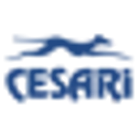 Cesari.com.br Logo