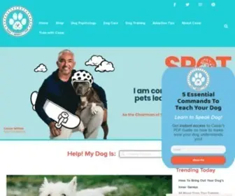Cesarsway.com(Dog Training and Advice from Cesar Millan) Screenshot