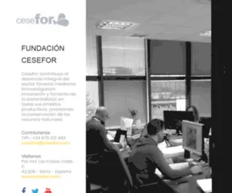 Cesefor.com(Cesefor) Screenshot