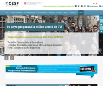 Cesf.es(Cicles Formatius) Screenshot