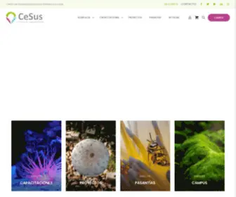 Cesus.org(Centro de Sustentabilidad para Gobiernos Locales) Screenshot