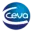 Ceva.pro Favicon