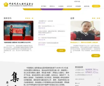 CFDP.org.cn(CFDP) Screenshot