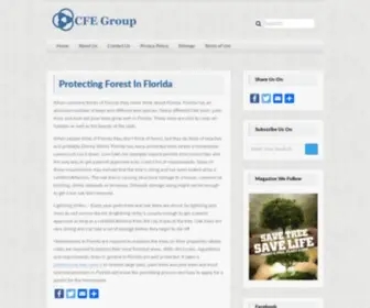 Cfegroup.org(Cfegroup) Screenshot