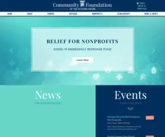 Cfes.org(HOME) Screenshot