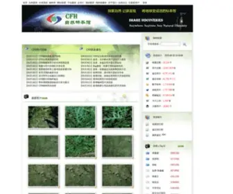 CFH.ac.cn(中国自然标本馆) Screenshot