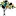 CFPDtrust.org Favicon