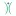 Cfsource.com.au Favicon