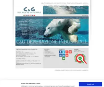 Cgdepur.it(C&G DEPURAZIONE INDUSTRIALE SRL) Screenshot