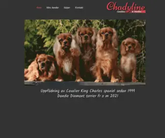 Chadyline.com(Chadyline Cavaliers & Dandies) Screenshot